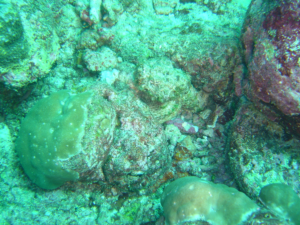 DSC00383.JPG