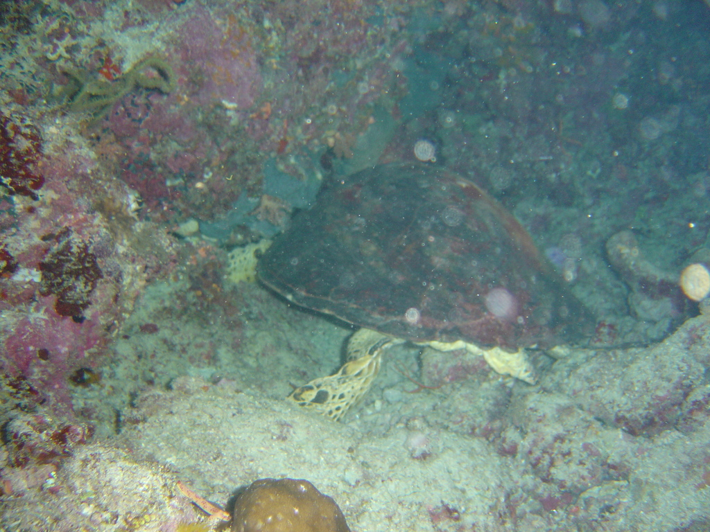 DSC00394.JPG