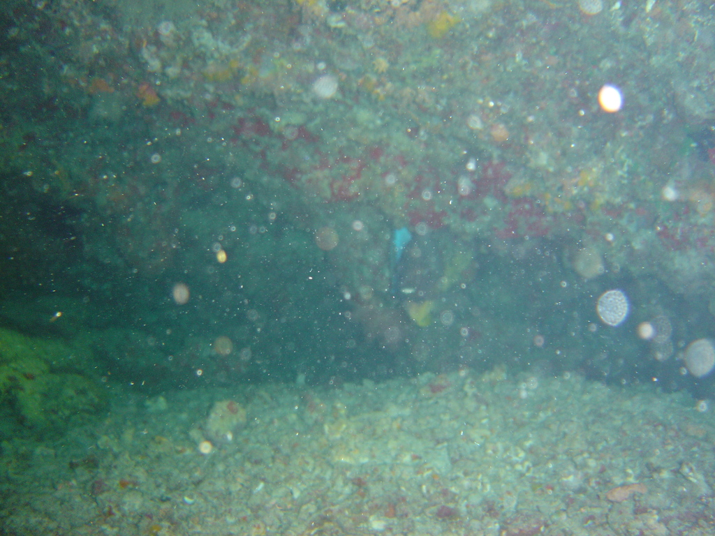 DSC00396.JPG