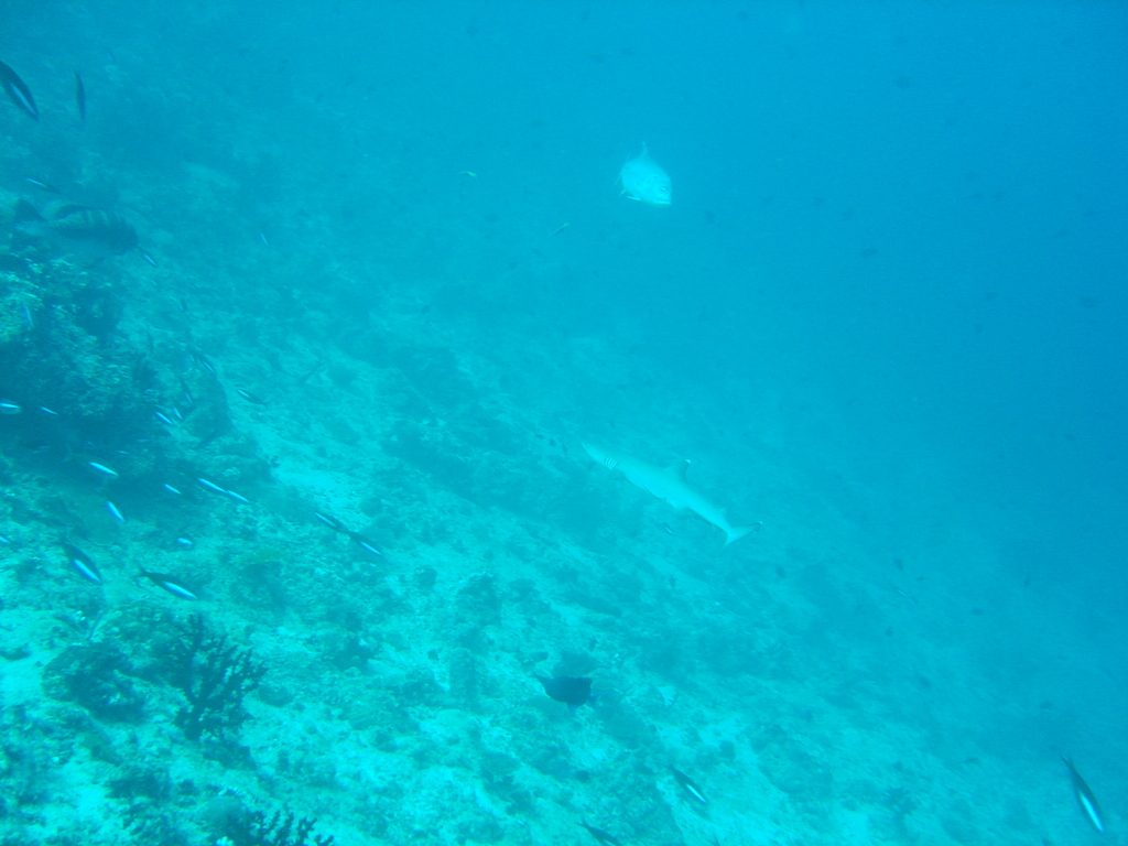 DSC00419.JPG