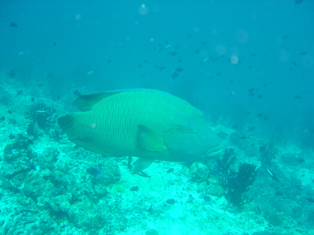 DSC00422.JPG