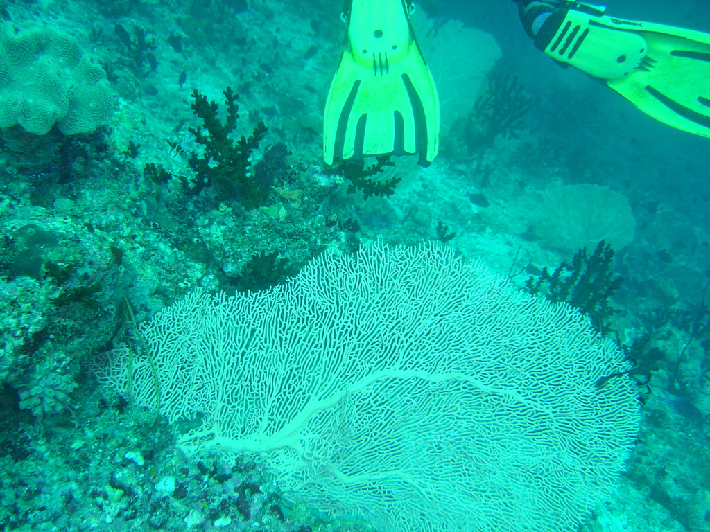 DSC00425.JPG