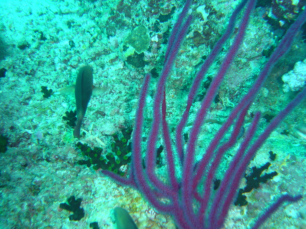 DSC00426.JPG