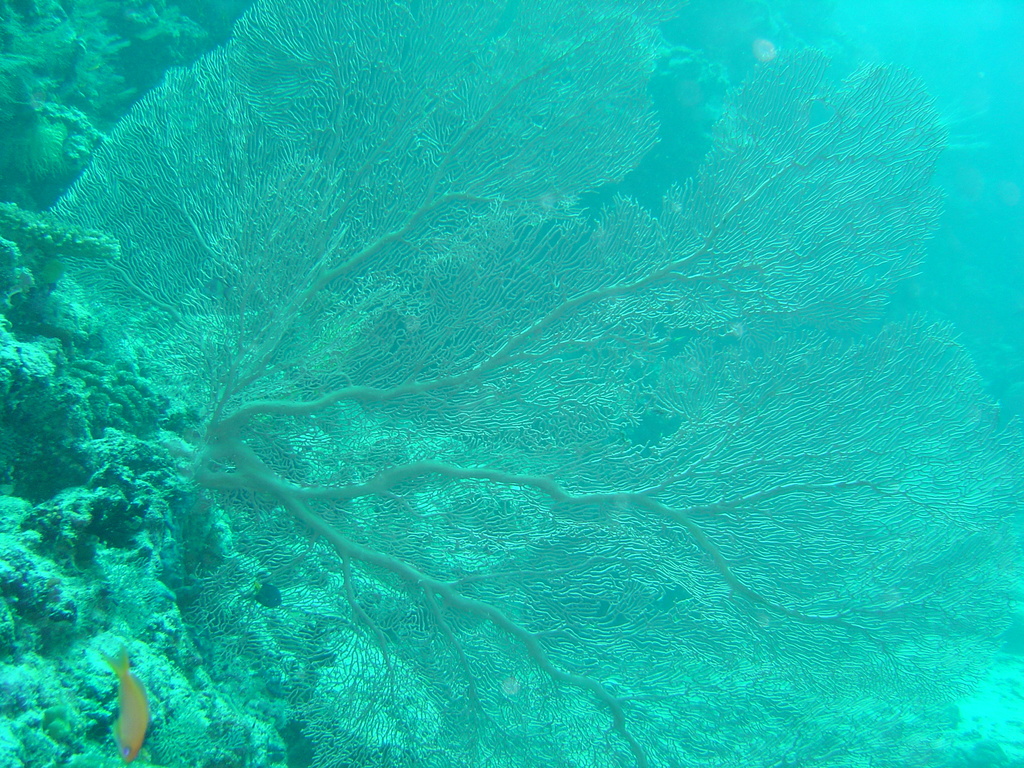 DSC00436.JPG