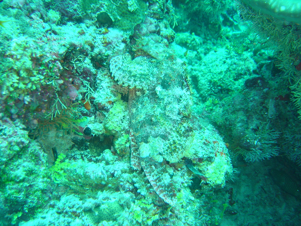 DSC00442.JPG