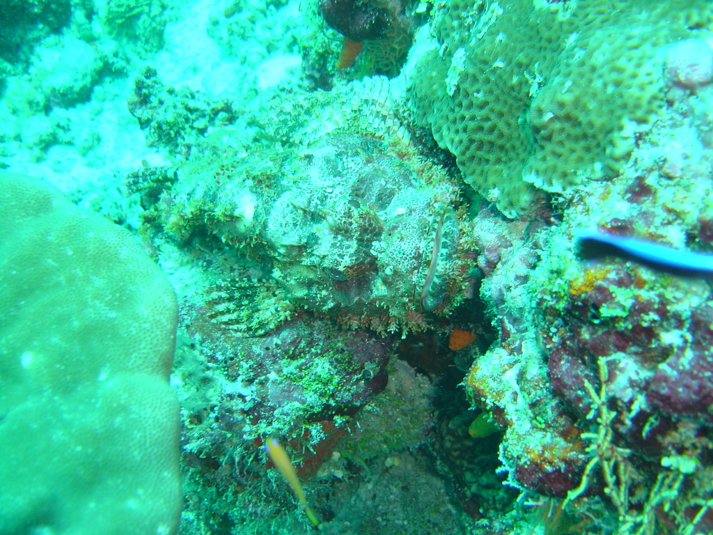 DSC00445.JPG