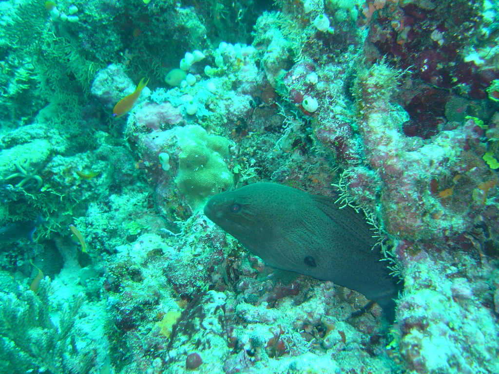 DSC00446.JPG