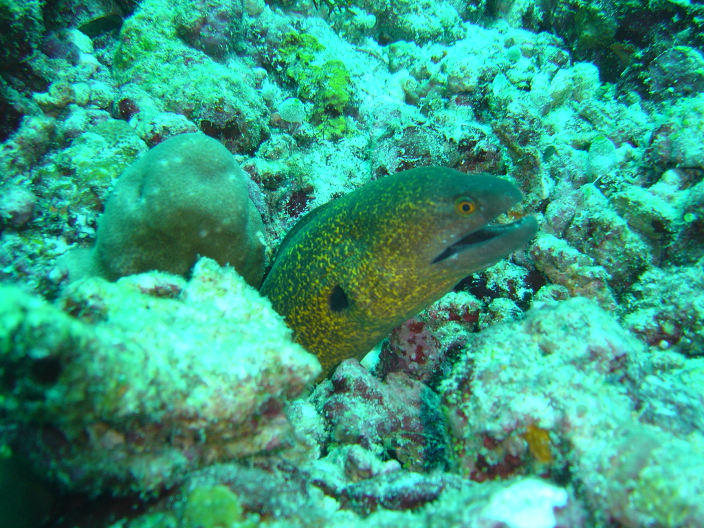 DSC00447.JPG