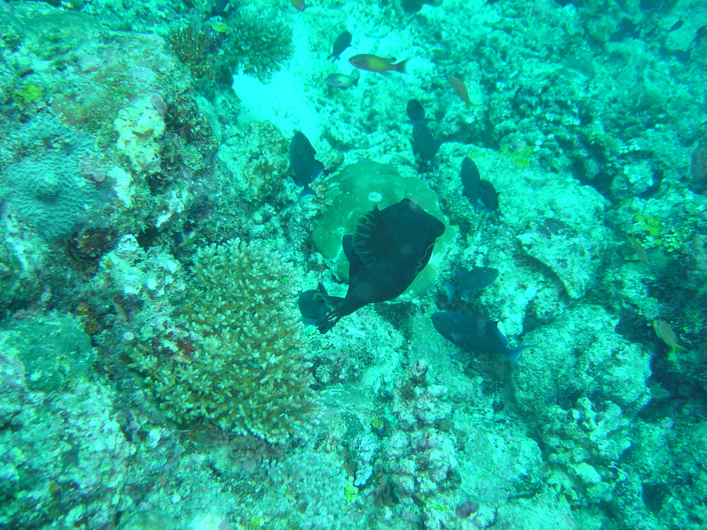 DSC00451.JPG