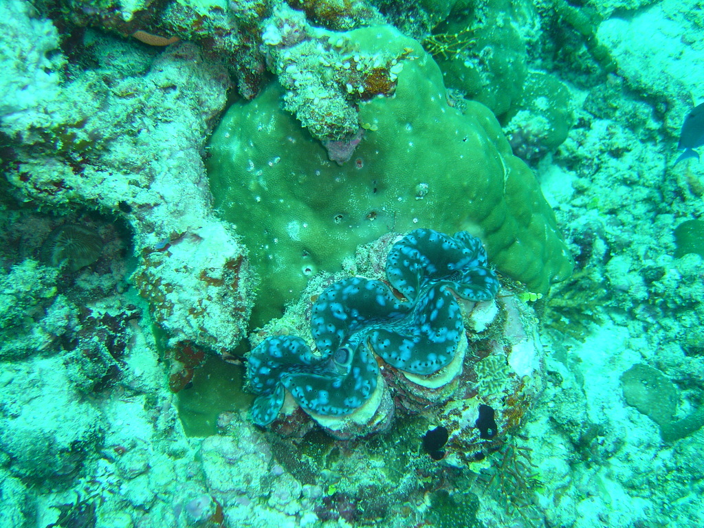 DSC00455.JPG