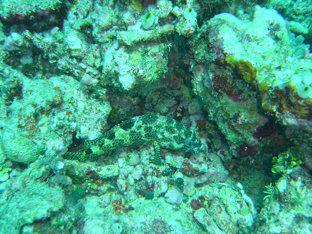 DSC00456.JPG