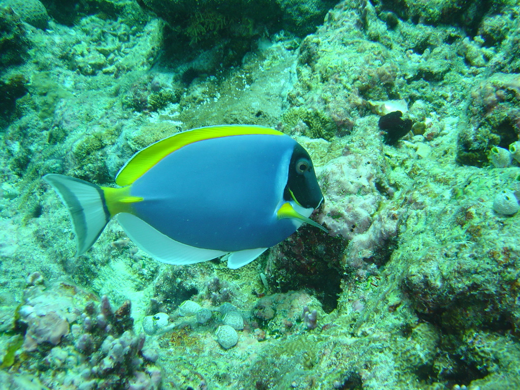DSC00458.JPG