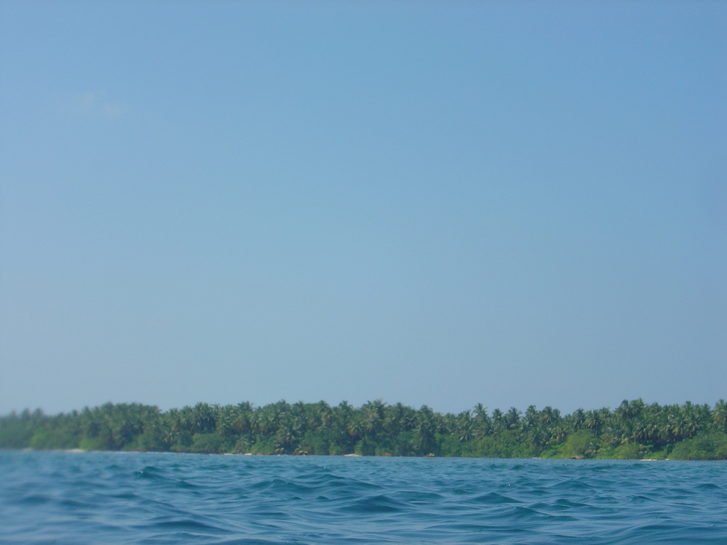 DSC00461.JPG