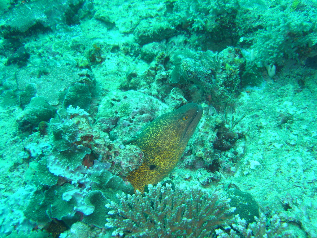 DSC00471.JPG