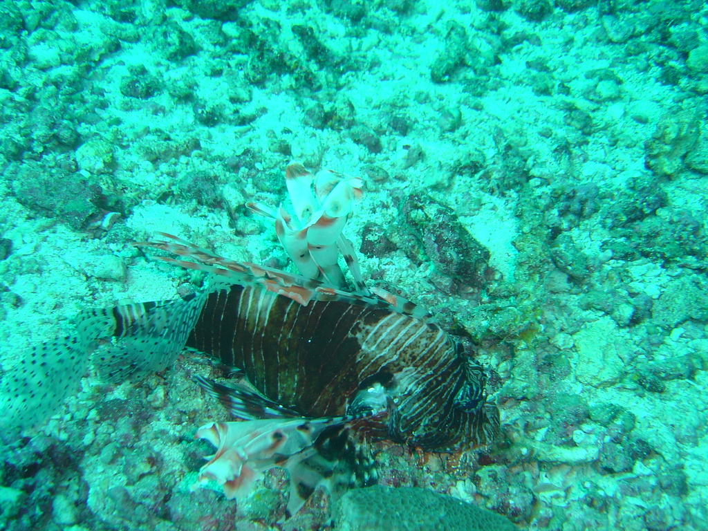 DSC00472.JPG