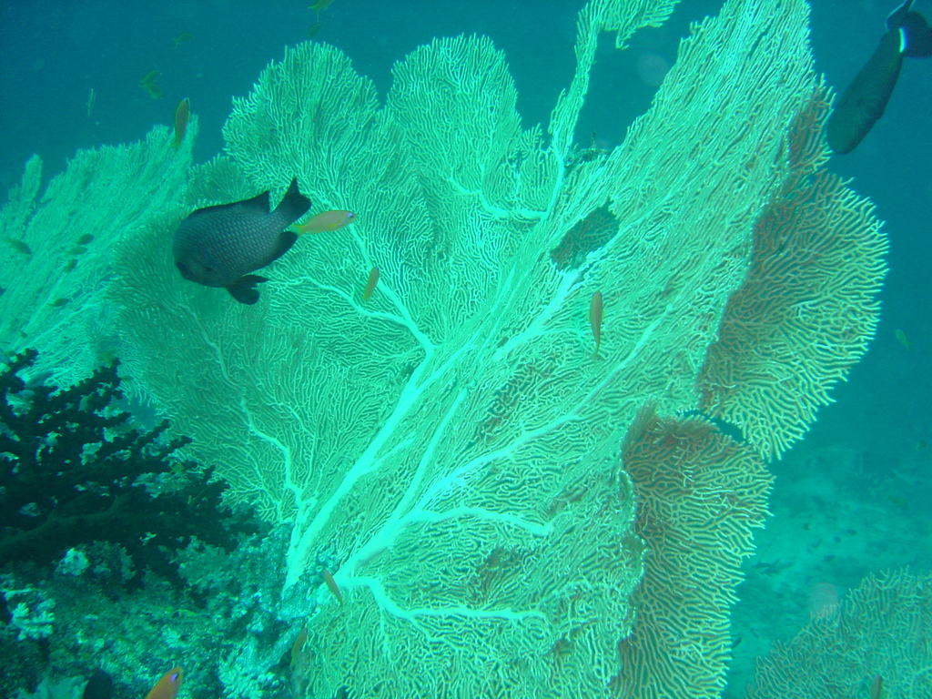 DSC00474.JPG