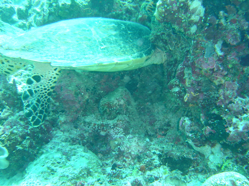 DSC00482.JPG