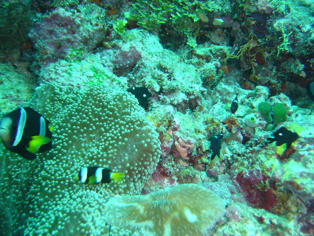 DSC00485.JPG