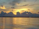 Filename=DSC00002.JPG
Filesize=369KiB
Dimensions=1024x768
Date added=Aug 05, 2014 DSC00002.JPG