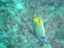Filename=DSC00009.JPG
Filesize=507KiB
Dimensions=1024x768
Date added=Aug 05, 2014 DSC00009.JPG