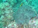 Filename=DSC00013.JPG
Filesize=499KiB
Dimensions=1024x768
Date added=Aug 05, 2014 DSC00013.JPG