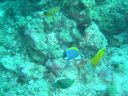 Filename=DSC00015.JPG
Filesize=478KiB
Dimensions=1024x768
Date added=Aug 05, 2014 DSC00015.JPG