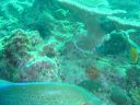 Filename=DSC00019.JPG
Filesize=480KiB
Dimensions=1024x768
Date added=Aug 05, 2014 DSC00019.JPG