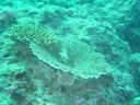 Filename=DSC00024.JPG
Filesize=501KiB
Dimensions=1024x768
Date added=Aug 05, 2014 DSC00024.JPG