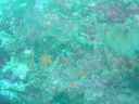 Filename=DSC00025.JPG
Filesize=501KiB
Dimensions=1024x768
Date added=Aug 05, 2014 DSC00025.JPG