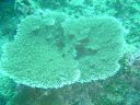 Filename=DSC00027.JPG
Filesize=538KiB
Dimensions=1024x768
Date added=Aug 05, 2014 DSC00027.JPG