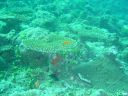 Filename=DSC00028.JPG
Filesize=503KiB
Dimensions=1024x768
Date added=Aug 05, 2014 DSC00028.JPG