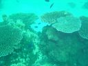Filename=DSC00030.JPG
Filesize=474KiB
Dimensions=1024x768
Date added=Aug 05, 2014 DSC00030.JPG