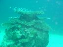 Filename=DSC00031.JPG
Filesize=452KiB
Dimensions=1024x768
Date added=Aug 05, 2014 DSC00031.JPG