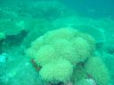 Filename=DSC00033.JPG
Filesize=476KiB
Dimensions=1024x768
Date added=Aug 05, 2014 DSC00033.JPG