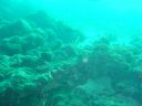 Filename=DSC00036.JPG
Filesize=440KiB
Dimensions=1024x768
Date added=Aug 05, 2014 DSC00036.JPG