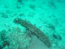 Filename=DSC00040.JPG
Filesize=464KiB
Dimensions=1024x768
Date added=Aug 05, 2014 DSC00040.JPG