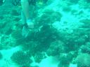 Dateiname=DSC00053.JPG
Dateigröße=474KB
Abmessungen: 1024x768
hinzugefügt am: 05. August 2014 DSC00053.JPG