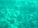 DSC00105.JPG