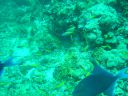 Dateiname=DSC00117.JPG
Dateigröße=509KB
Abmessungen: 1024x768
hinzugefügt am: 05. August 2014 DSC00117.JPG