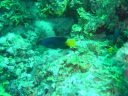 Dateiname=DSC00121.JPG
Dateigröße=490KB
Abmessungen: 1024x768
hinzugefügt am: 05. August 2014 DSC00121.JPG