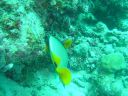 Dateiname=DSC00132.JPG
Dateigröße=520KB
Abmessungen: 1024x768
hinzugefügt am: 05. August 2014 DSC00132.JPG