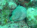 Dateiname=DSC00163.JPG
Dateigröße=421KB
Abmessungen: 1024x768
hinzugefügt am: 05. August 2014 DSC00163.JPG