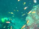 Dateiname=DSC00175.JPG
Dateigröße=438KB
Abmessungen: 1024x768
hinzugefügt am: 05. August 2014 DSC00175.JPG