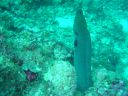 Dateiname=DSC00201.JPG
Dateigröße=524KB
Abmessungen: 1024x768
hinzugefügt am: 05. August 2014 DSC00201.JPG