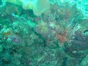 Dateiname=DSC00205.JPG
Dateigröße=478KB
Abmessungen: 1024x768
hinzugefügt am: 05. August 2014 DSC00205.JPG