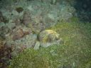 Dateiname=DSC00254.JPG
Dateigröße=536KB
Abmessungen: 1024x768
hinzugefügt am: 05. August 2014 DSC00254.JPG