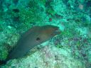 Dateiname=DSC00279.JPG
Dateigröße=504KB
Abmessungen: 1024x768
hinzugefügt am: 05. August 2014 DSC00279.JPG