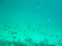 DSC00311.JPG
