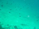 DSC00312.JPG