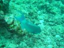 DSC00320.JPG